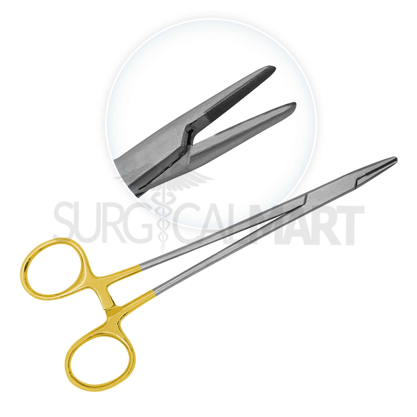 12pcs-small-animal-dental-extraction-kit-surgicalmart-surgicalmart (1)