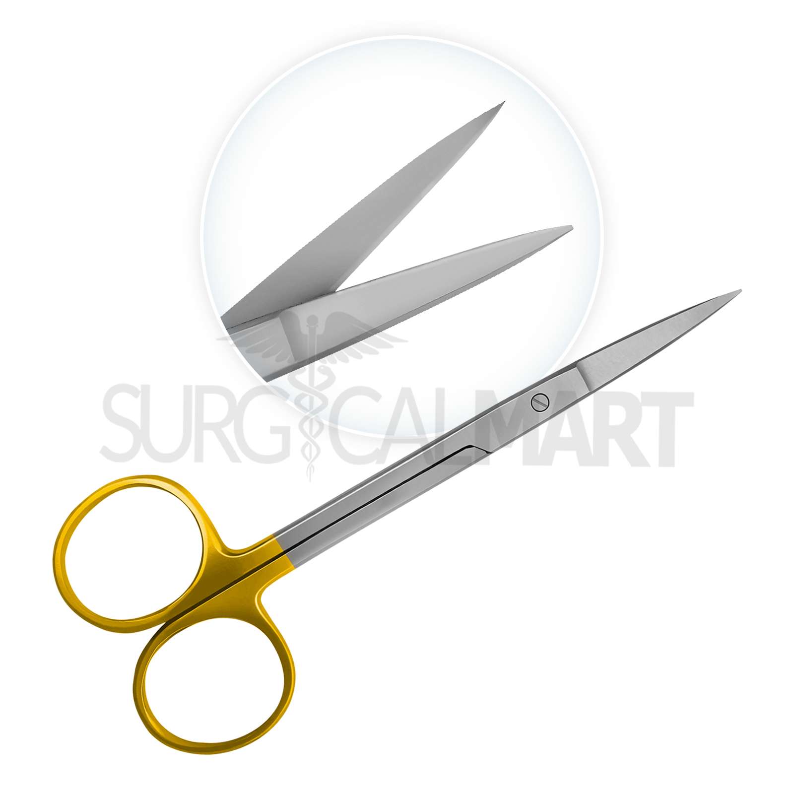 12pcs-small-animal-dental-extraction-kit-surgicalmart-surgicalmart (2)