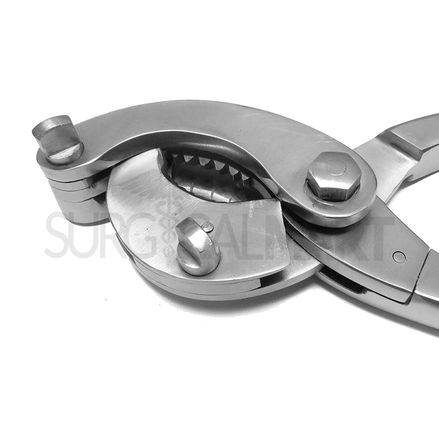 bertschy-emasculator-37cm-surgicalmart (1)