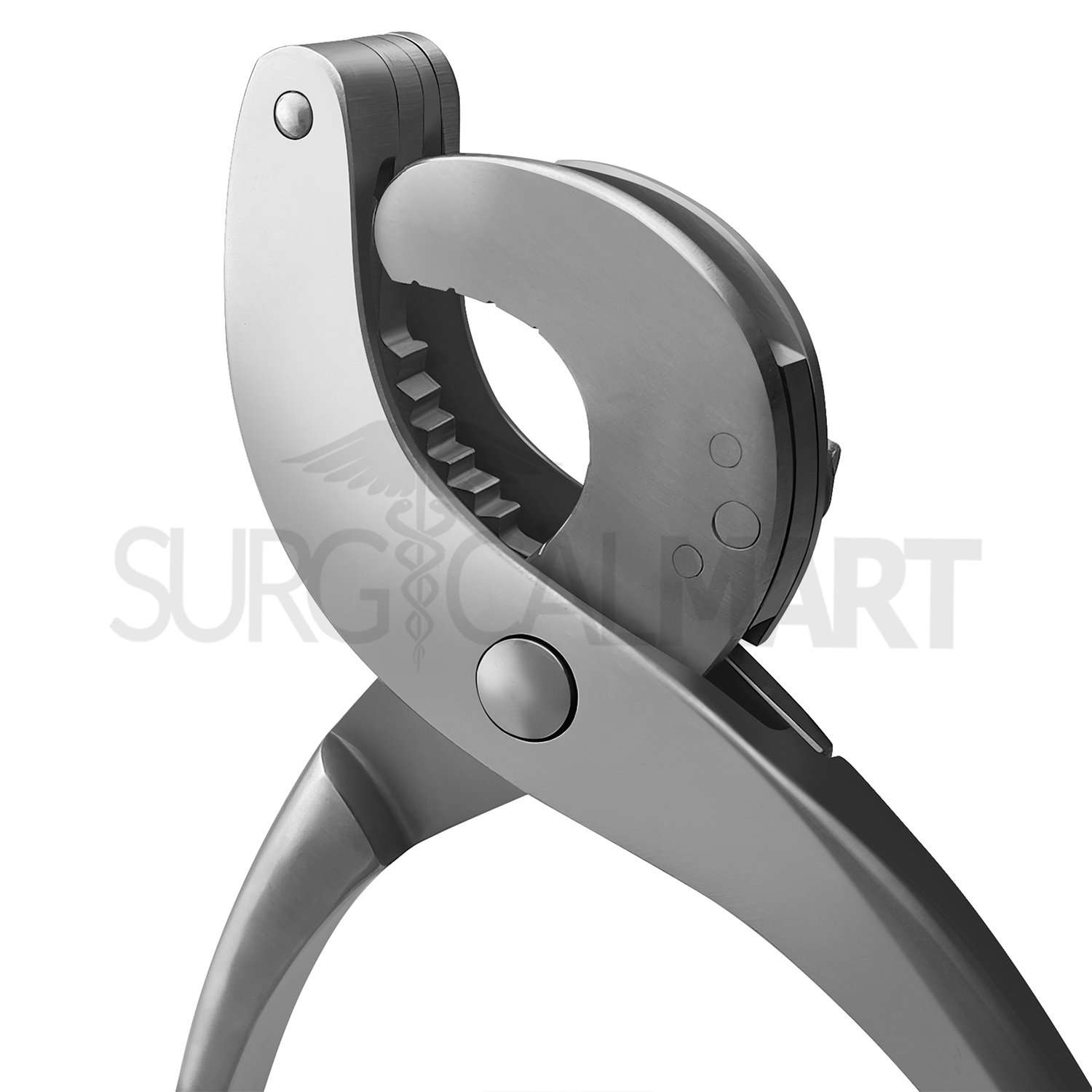 bertschy-emasculator-37cm-surgicalmart (6)