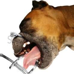 canine-mouth-gag-surgicalmart (5)