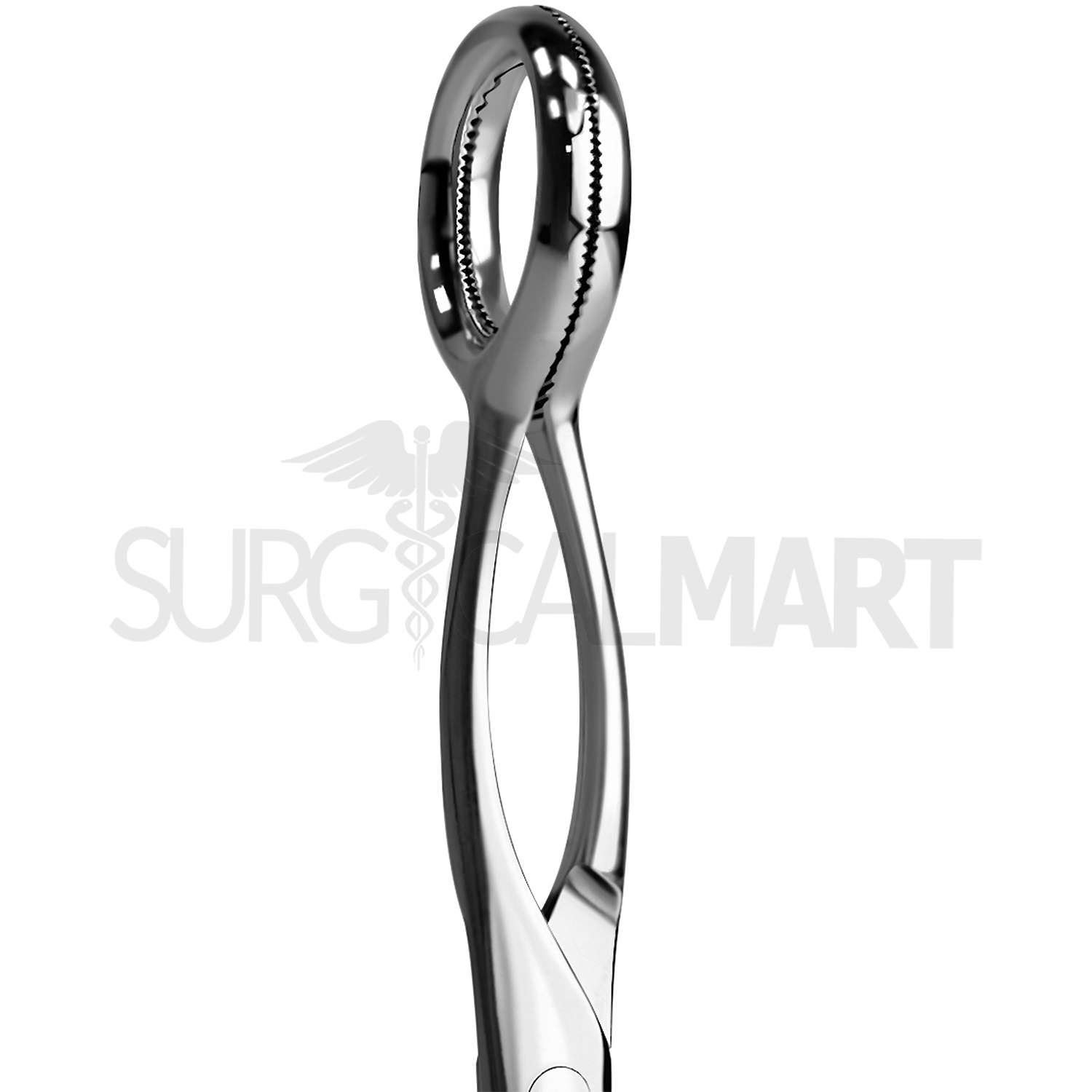collins-tongue-seizing-forceps-surgicalmart (1)