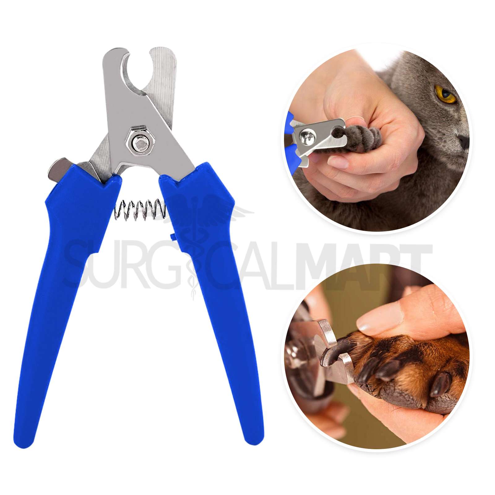 pets-first-aid-instruments-kit-surgicalmart (5)