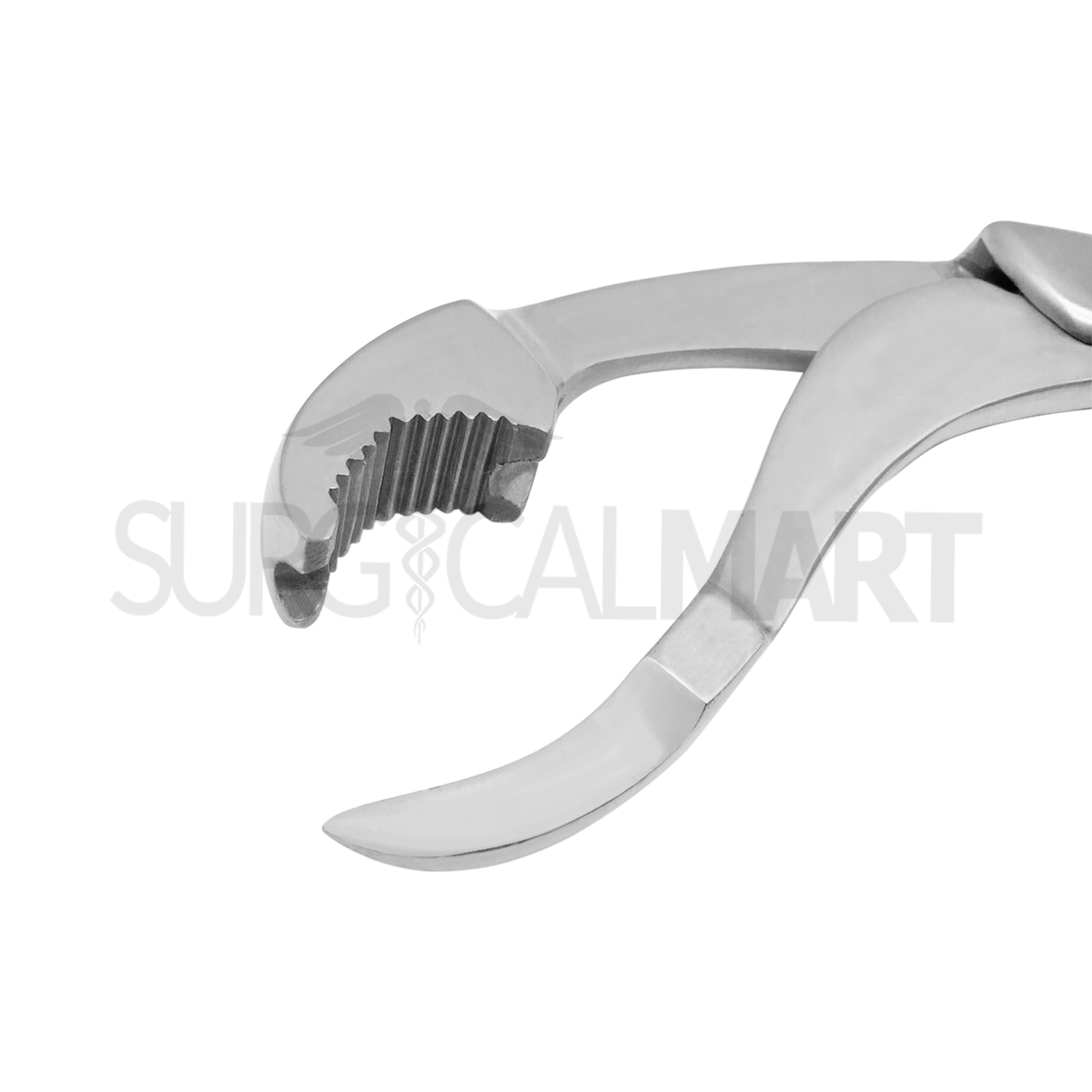 verbrugge-bone-holding-forceps-6-long-ratchet-surgicalmart (2)