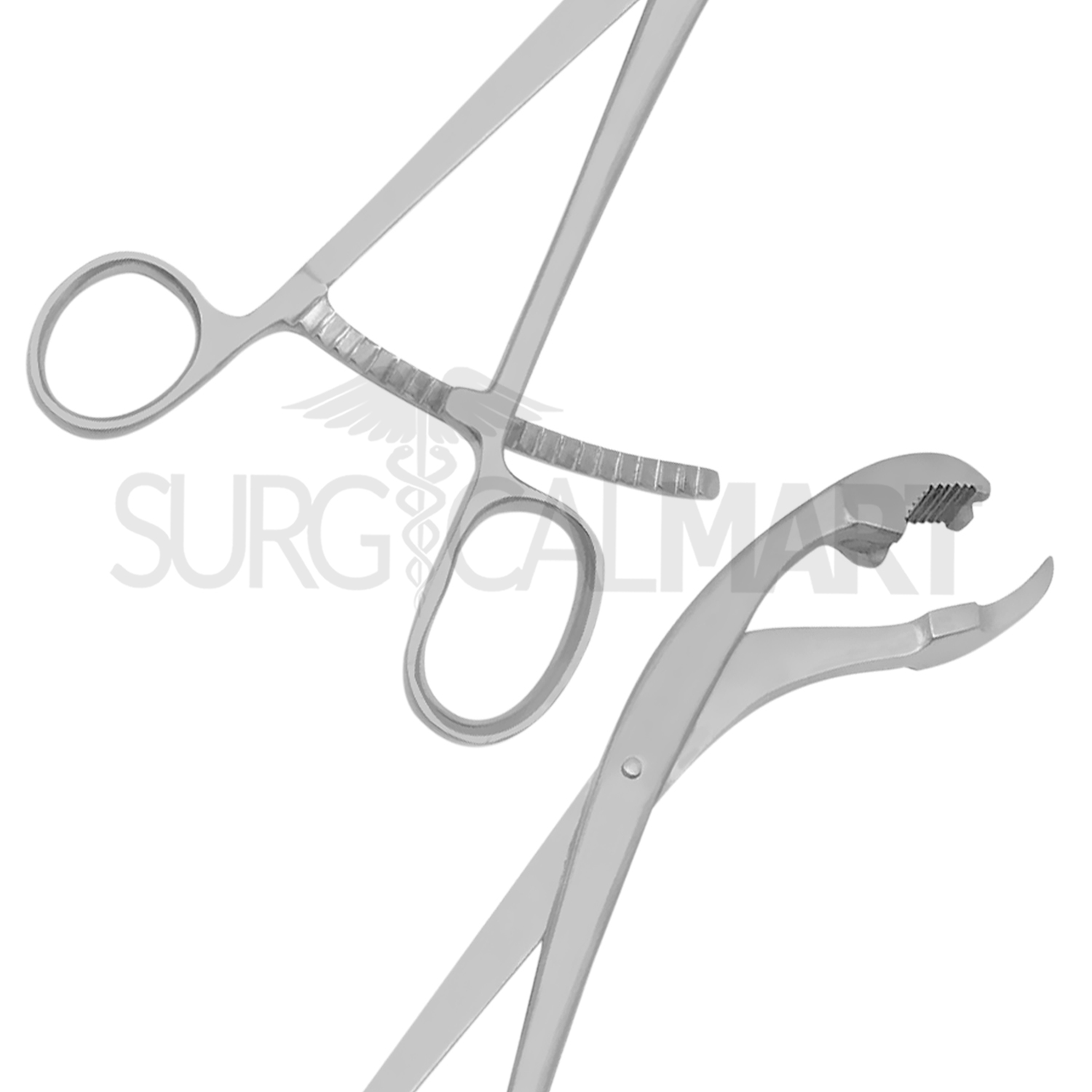 verbrugge-bone-holding-forceps-6-long-ratchet-surgicalmart (3)