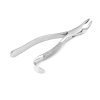 American Extracting forceps No. 85A