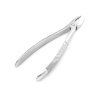 English Extracting forceps No. 29