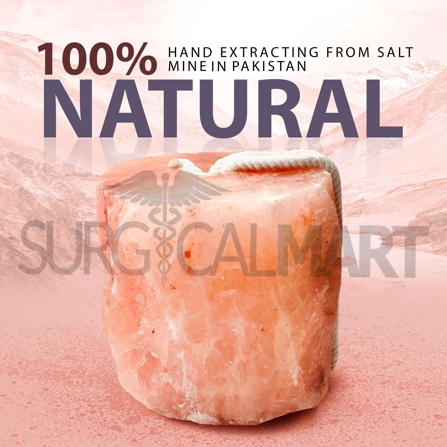 himalayan-animal-salt-lick-surgicalmart (1)