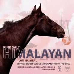 himalayan-animal-salt-lick-surgicalmart (2)