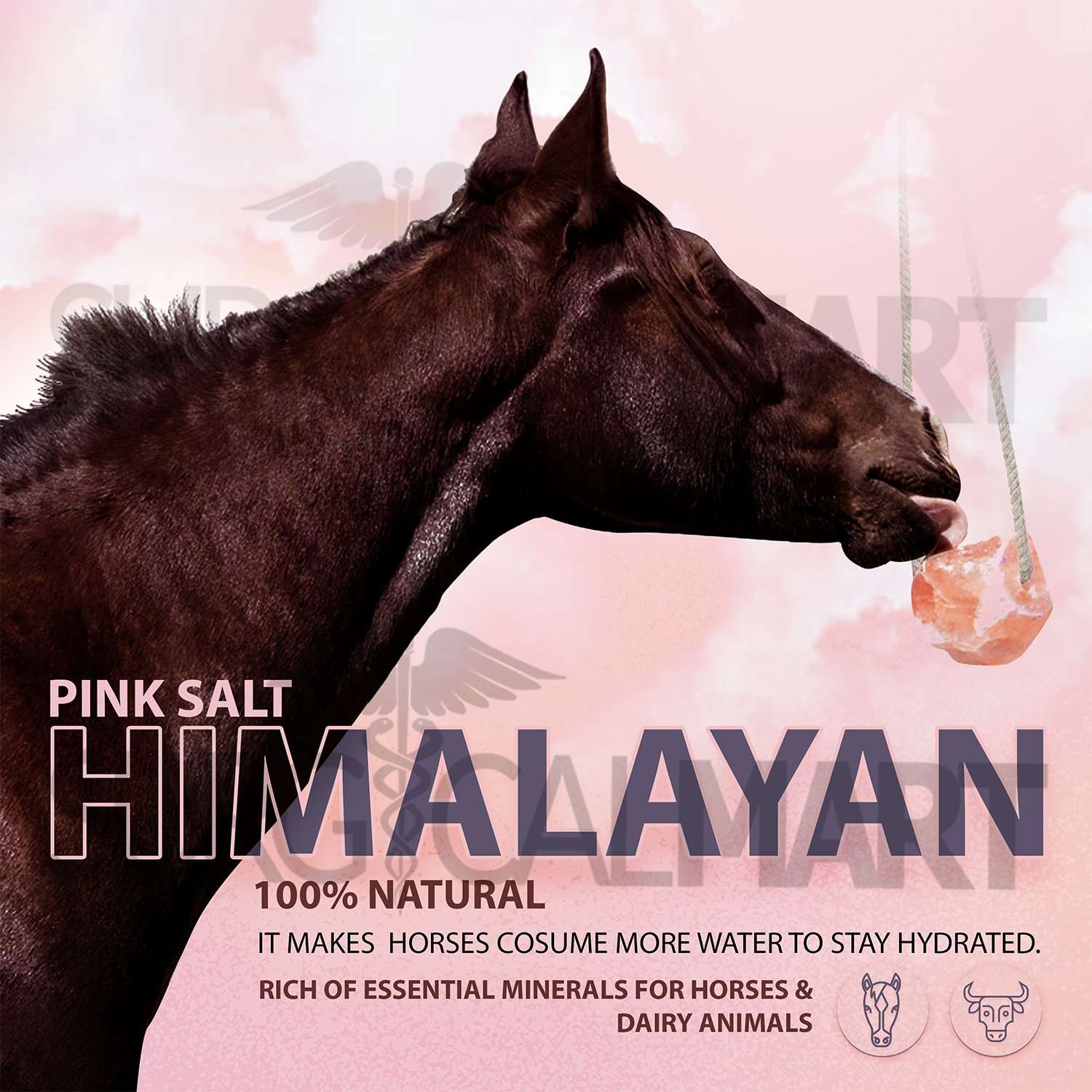 himalayan-animal-salt-lick-surgicalmart (2)