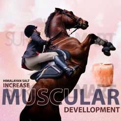 himalayan-animal-salt-lick-surgicalmart (3)