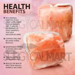 himalayan-animal-salt-lick-surgicalmart (4)