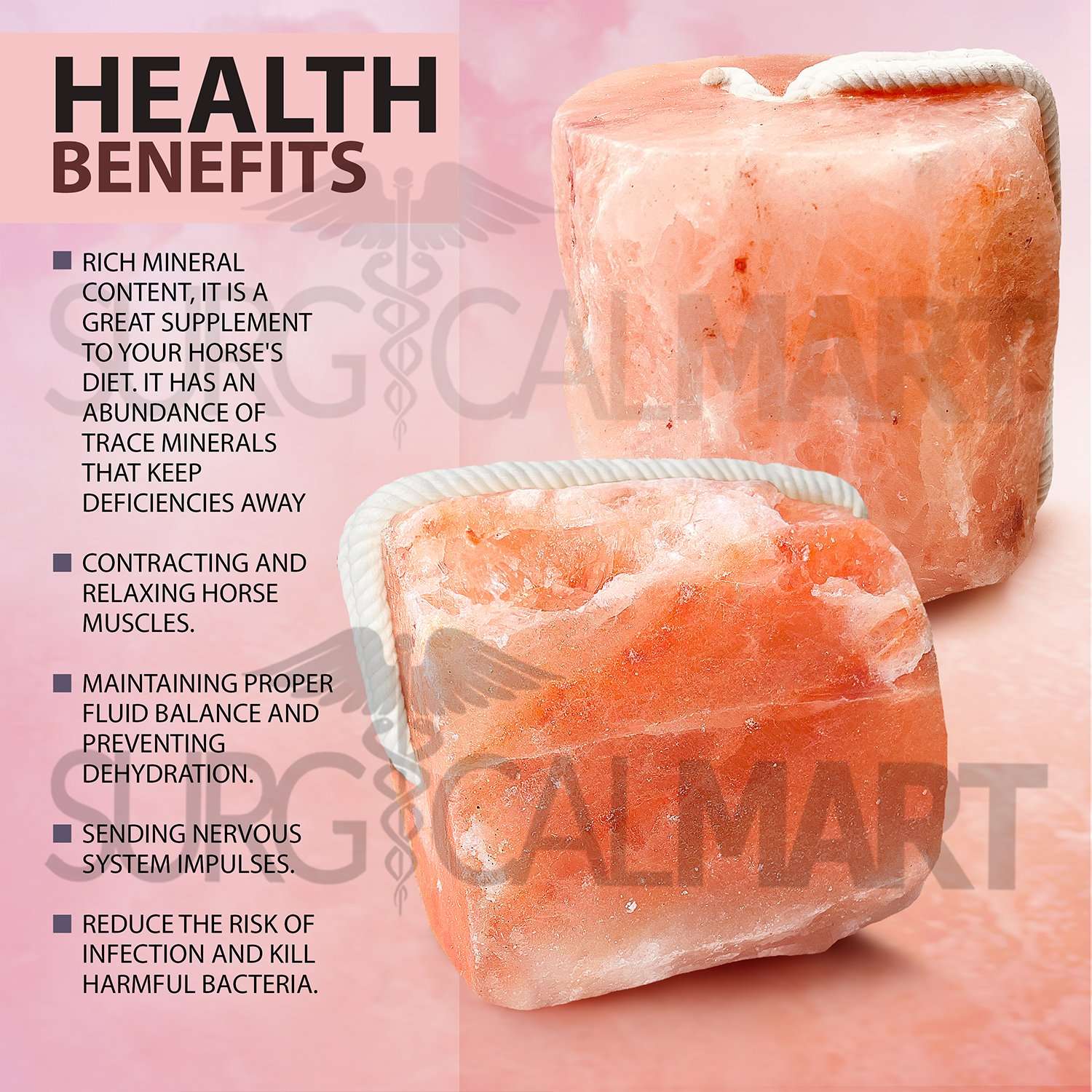 himalayan-animal-salt-lick-surgicalmart (4)