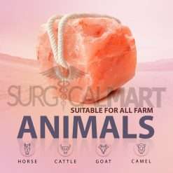 himalayan-animal-salt-lick-surgicalmart (5)