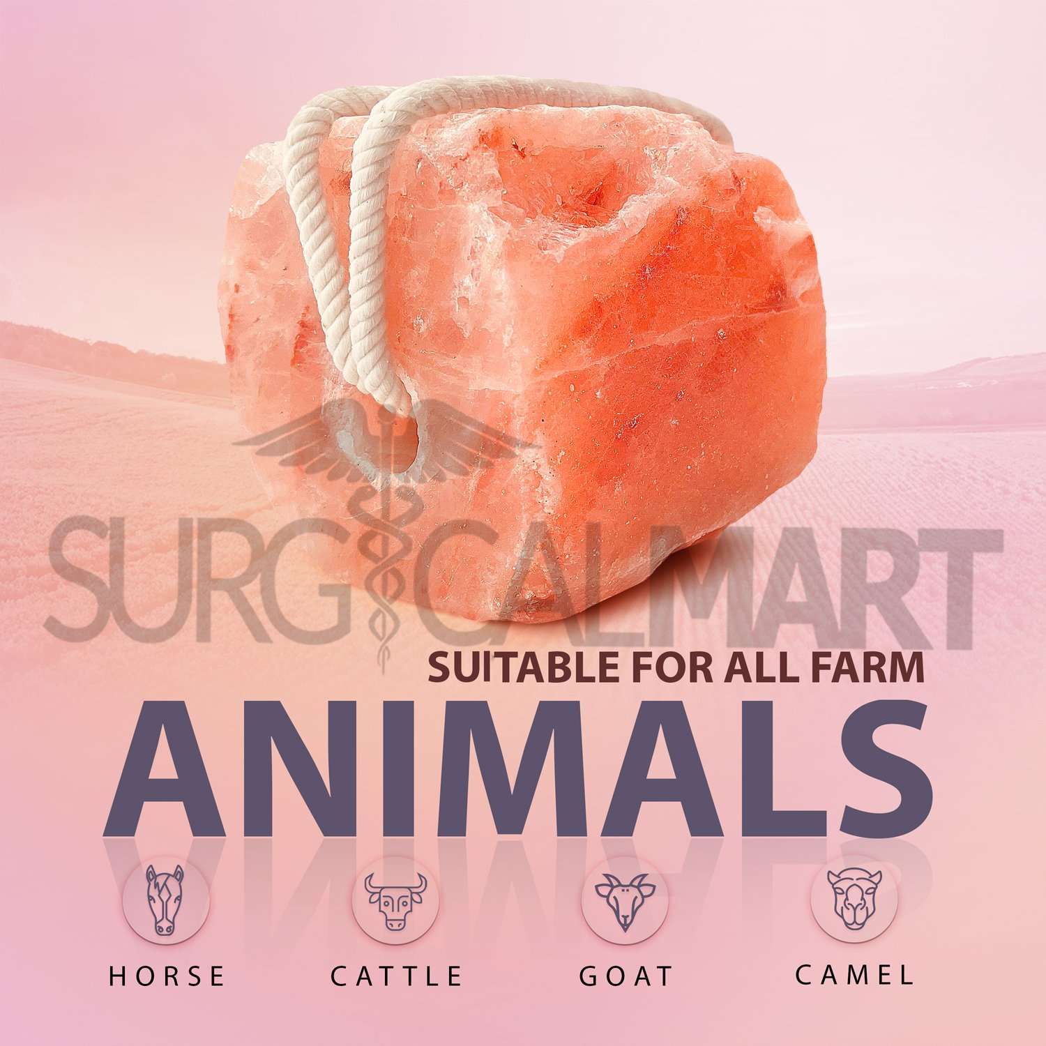 himalayan-animal-salt-lick-surgicalmart (5)