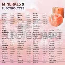 himalayan-animal-salt-lick-surgicalmart (6)