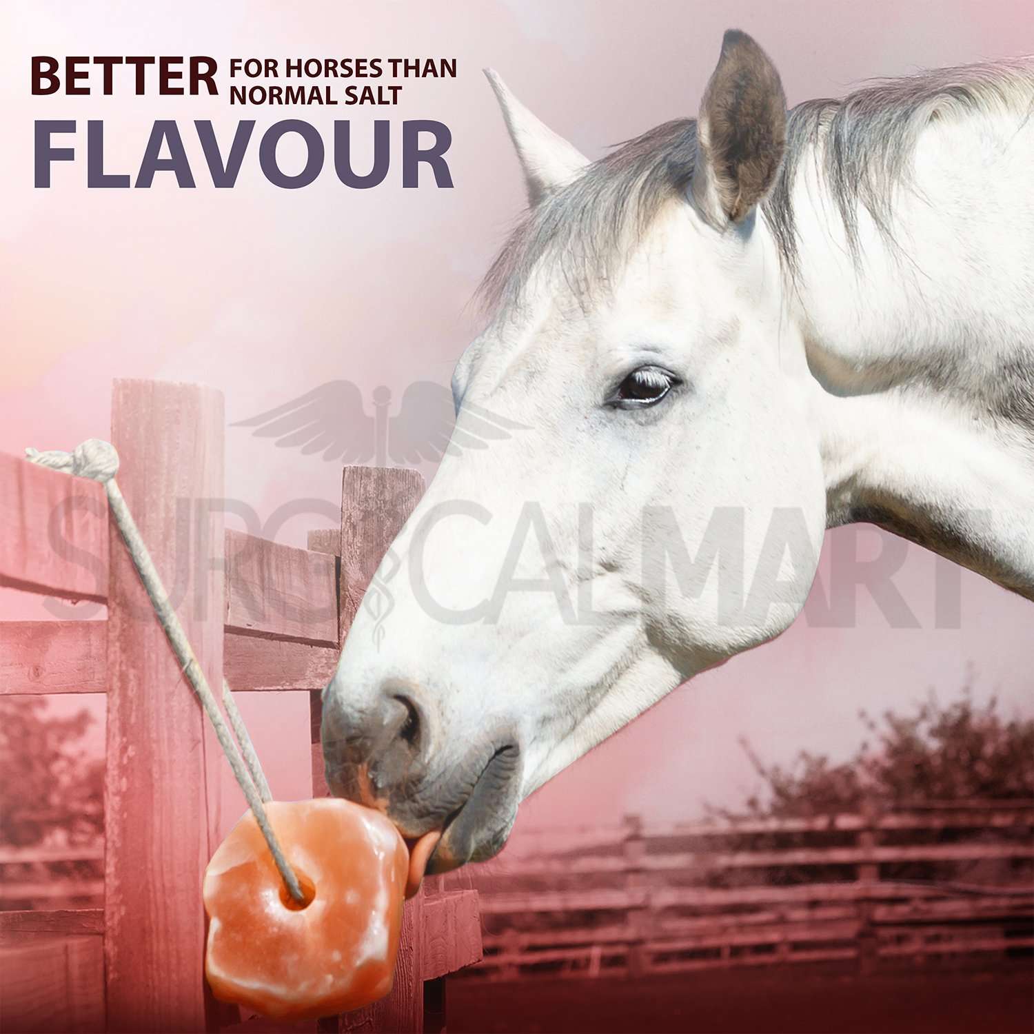 himalayan-animal-salt-lick-surgicalmart (7)
