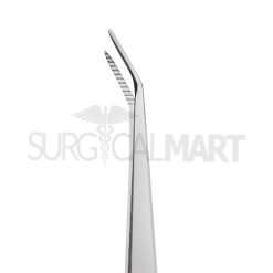 dogs-dental-scaling-tools-veterinary-surgicalmart (5)