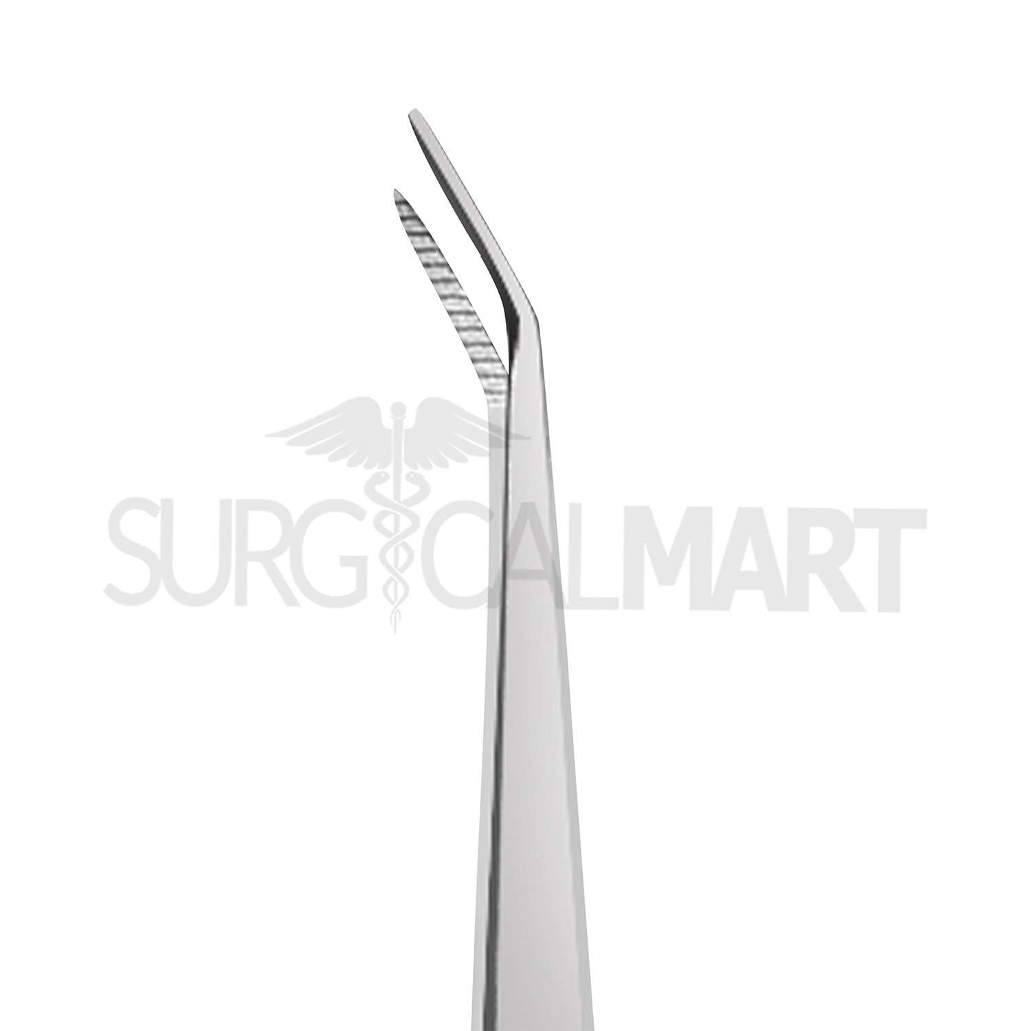 dogs-dental-scraping-tools-veterinary-surgicalmart (4)