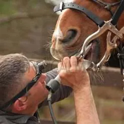 equine-dental-mcpherson-horse-mouth-gag--surgicalmart