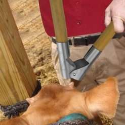 calf-dehorner-horn-cutter-surgicalmart