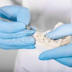 tartar-scrapping-dental-kit-surgicalmart