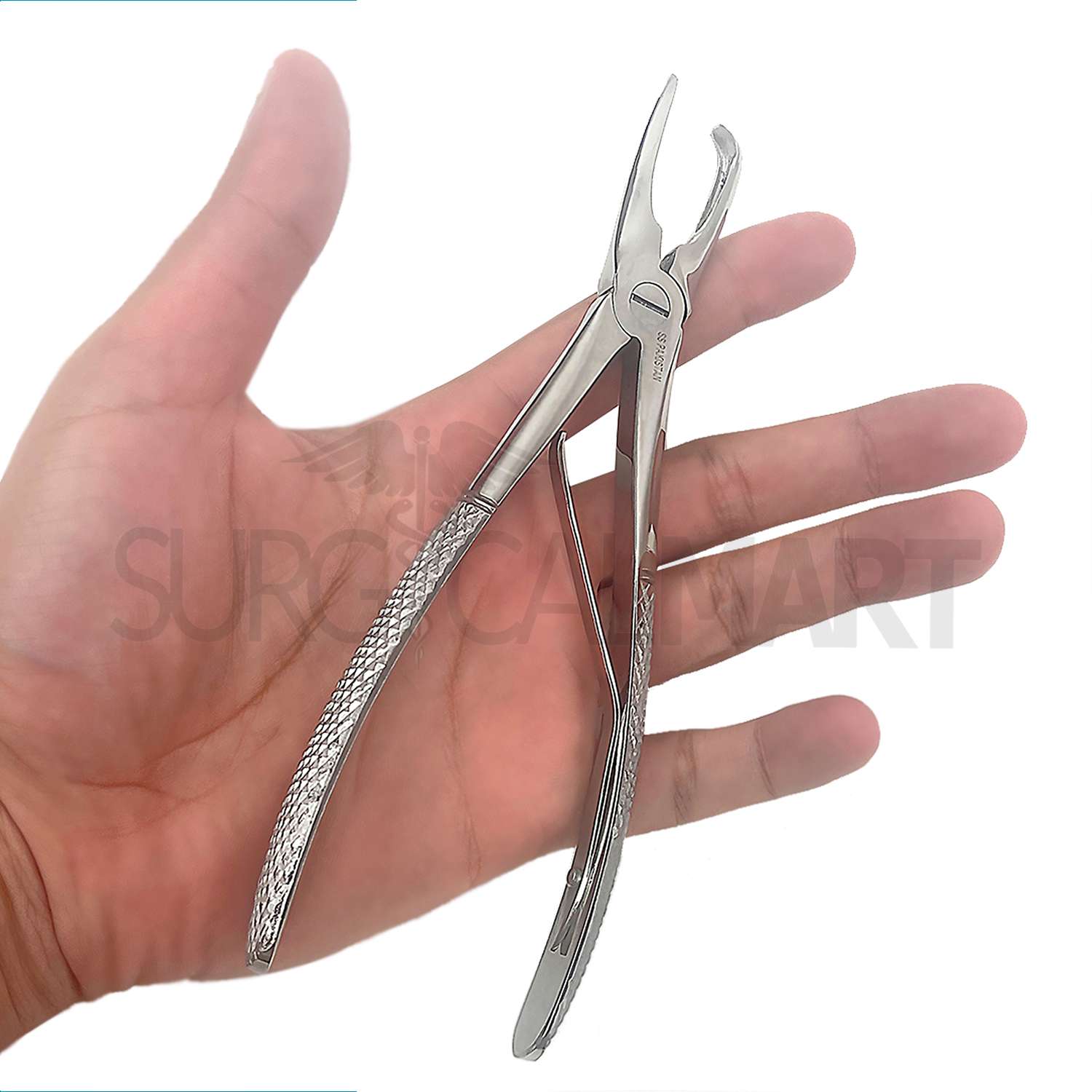 tartar-removing-forceps-large-surgicalmart (4)