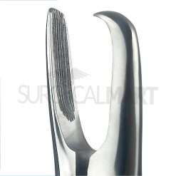 tartar-removing-forceps-large-surgicalmart (5)