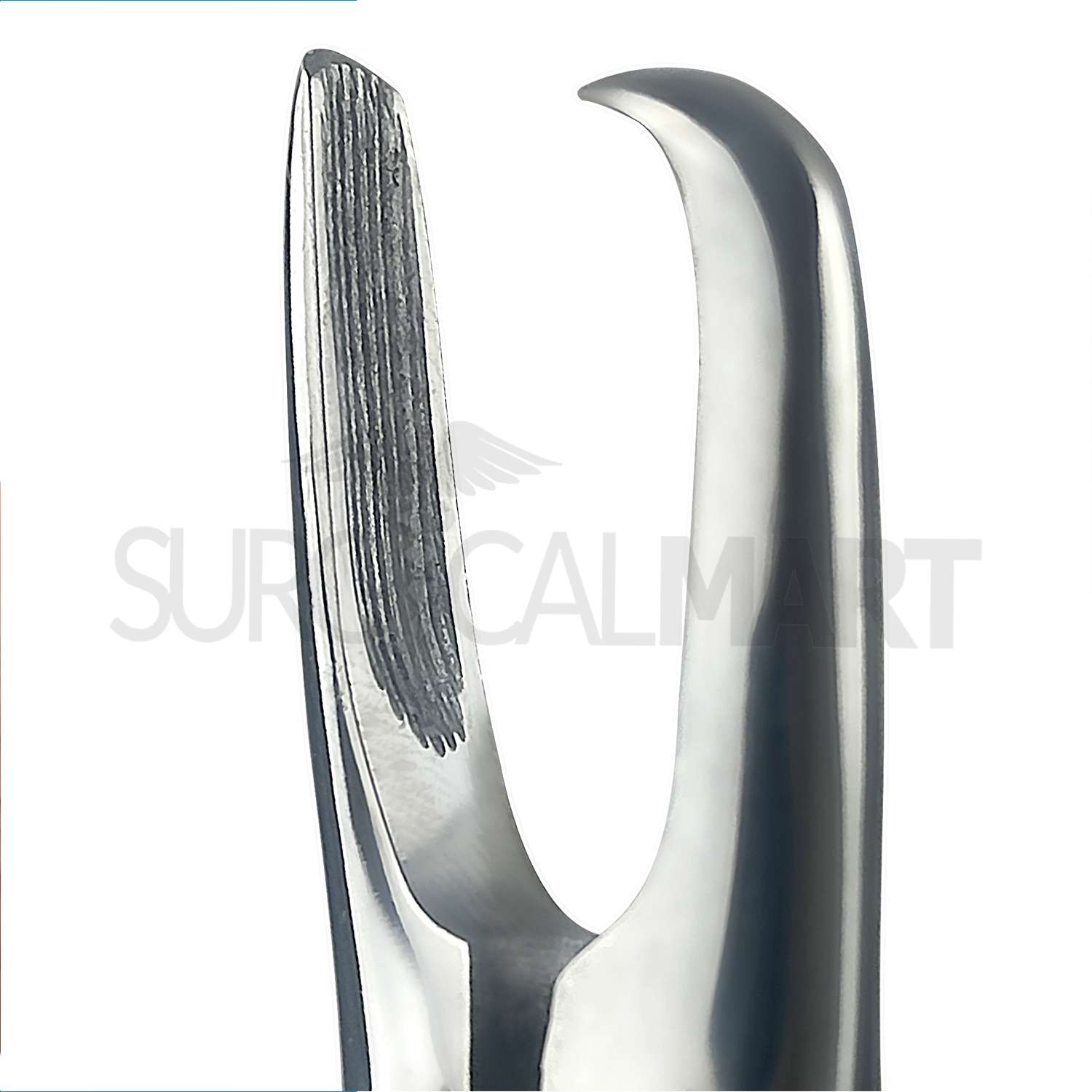 tartar-removing-forceps-large-surgicalmart (5)