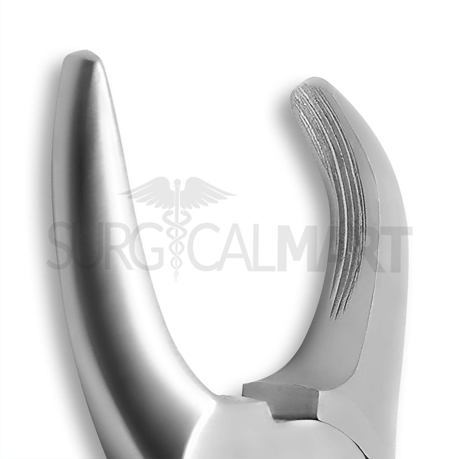 tartar-removing-forceps-surgicalmart (4)