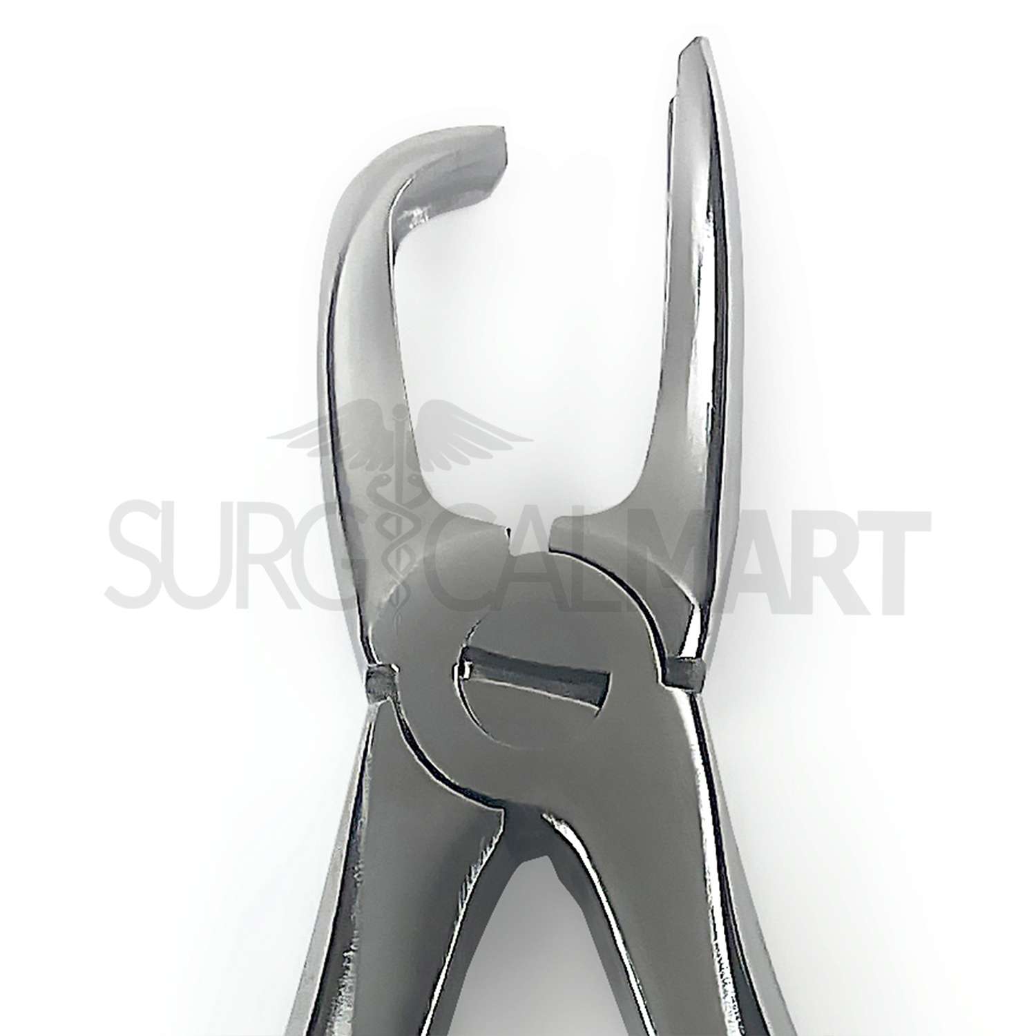 tartar-removing-forceps-surgicalmart (5)