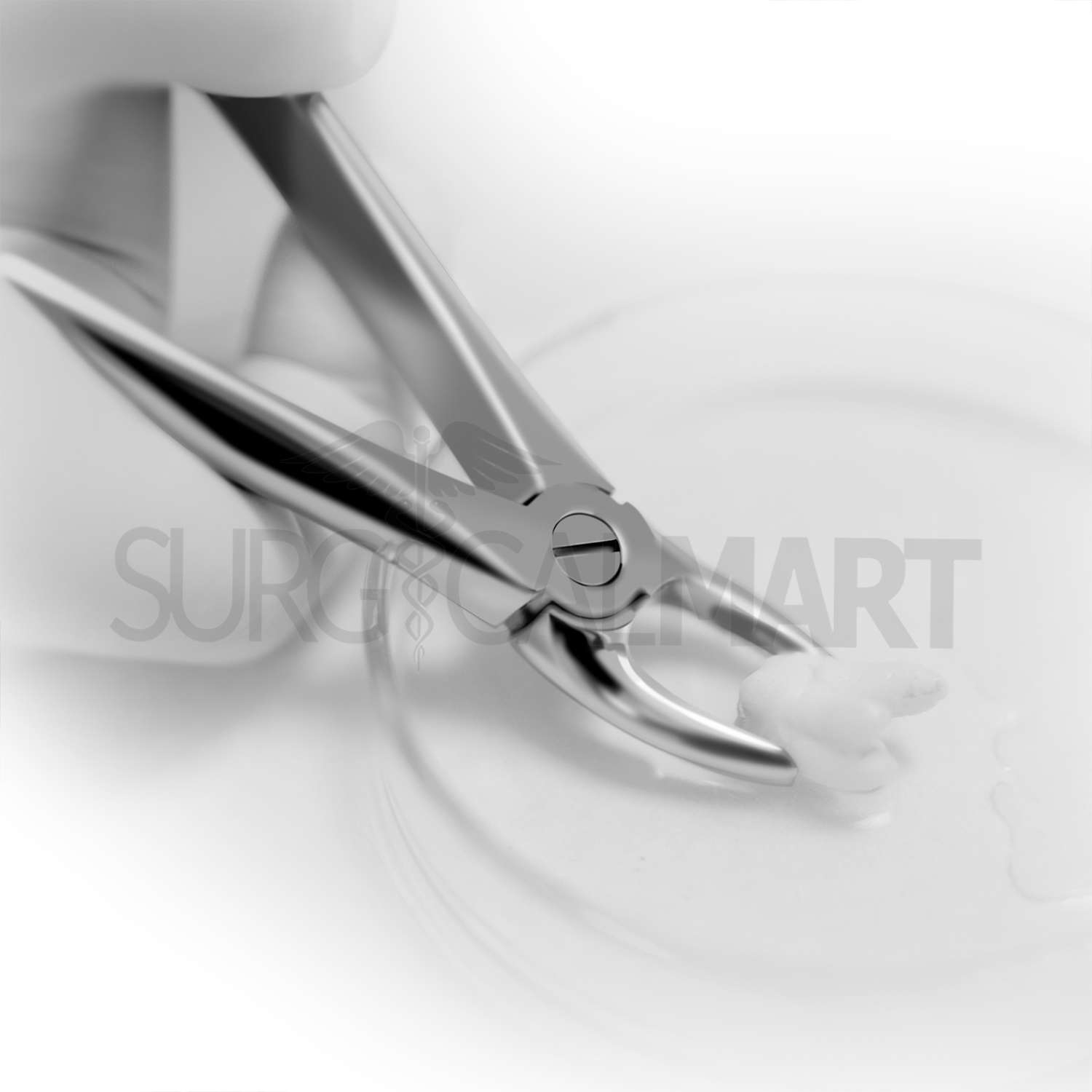 12pcs-dental-extracting-forceps-tooth-extraction-kit-surgicalmart (3)