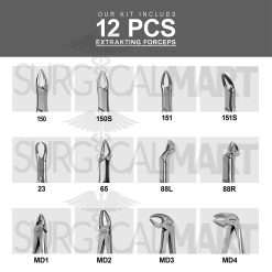 12pcs-dental-extracting-forceps-tooth-extraction-kit-surgicalmart (6)