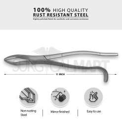 equine-dental-wolf-tooth-extracting-forceps-size-info-surgicalmart
