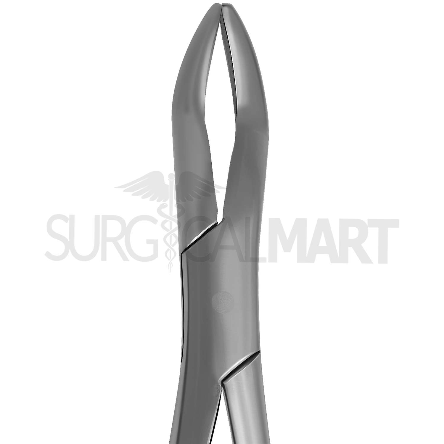 wolf-tooth-extracting-forceps-11-hook-handle-surgicalmart (2)