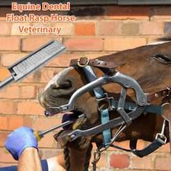 equine-dental-float-rasp-down-blade-surgicalmart (6)